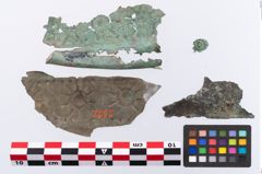 Foto von Bronzebreitrandschüssel (NHMW-PRAE-002321)